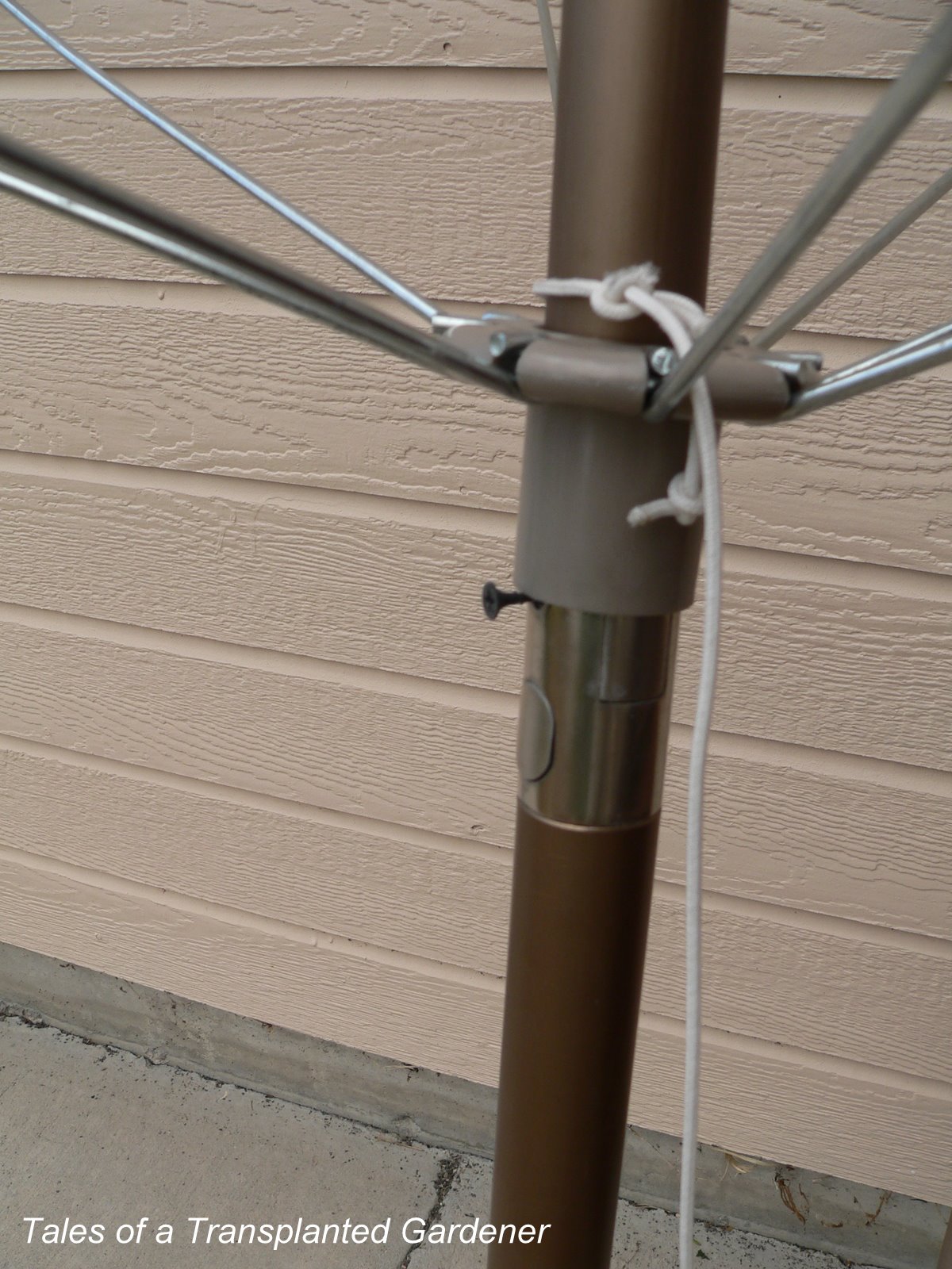 Tales of a Transplanted Gardener Umbrella Trellis