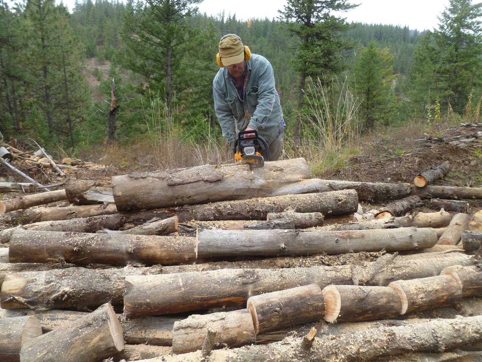 Rural Revolution Cutting firewood