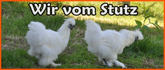 Wir vom Stutz