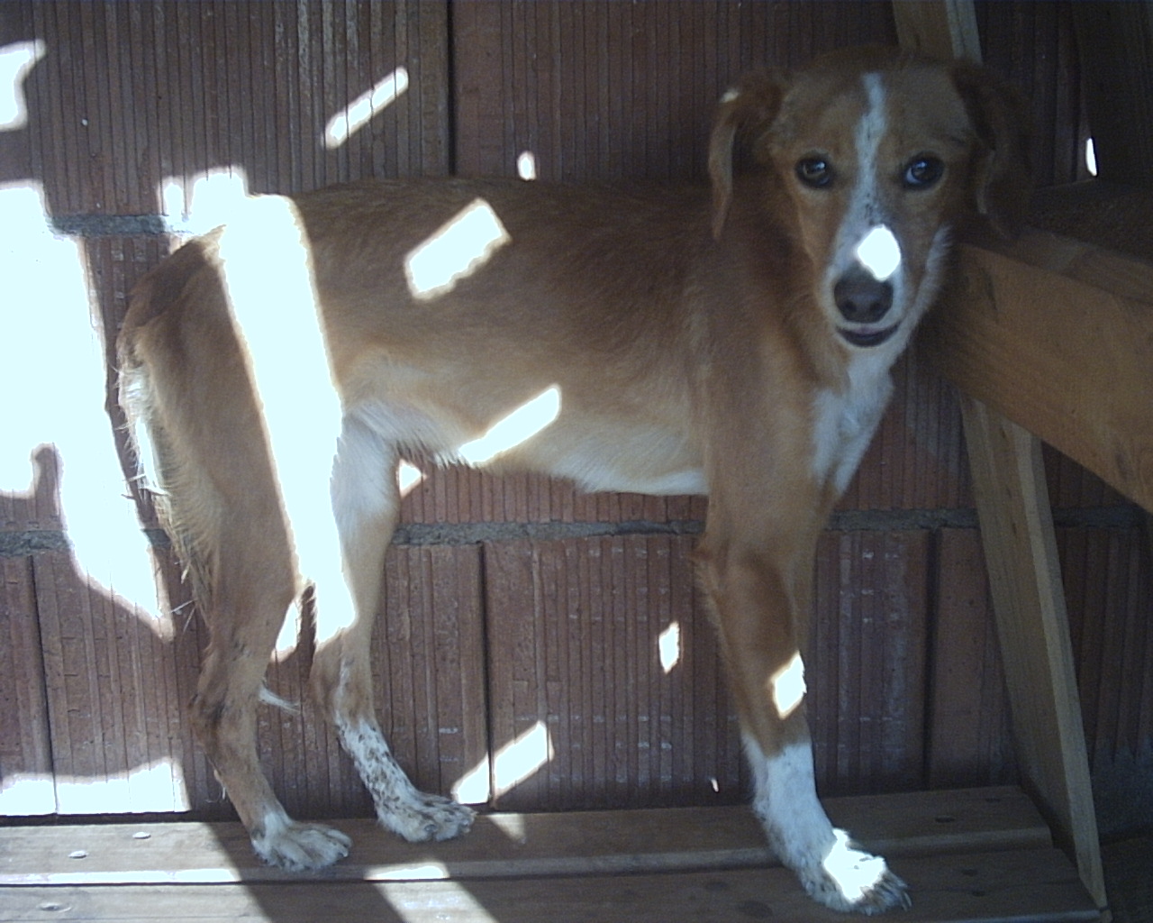 [PHTO0003.JPG]