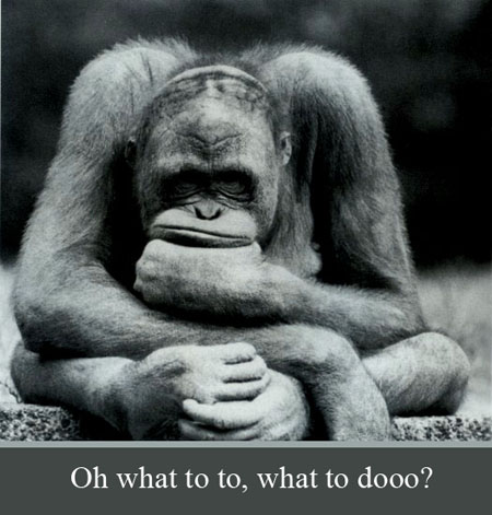 Confusion Seems To Be Running