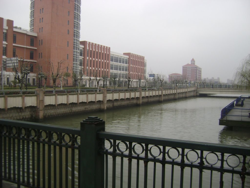 [DSC02384.JPG]