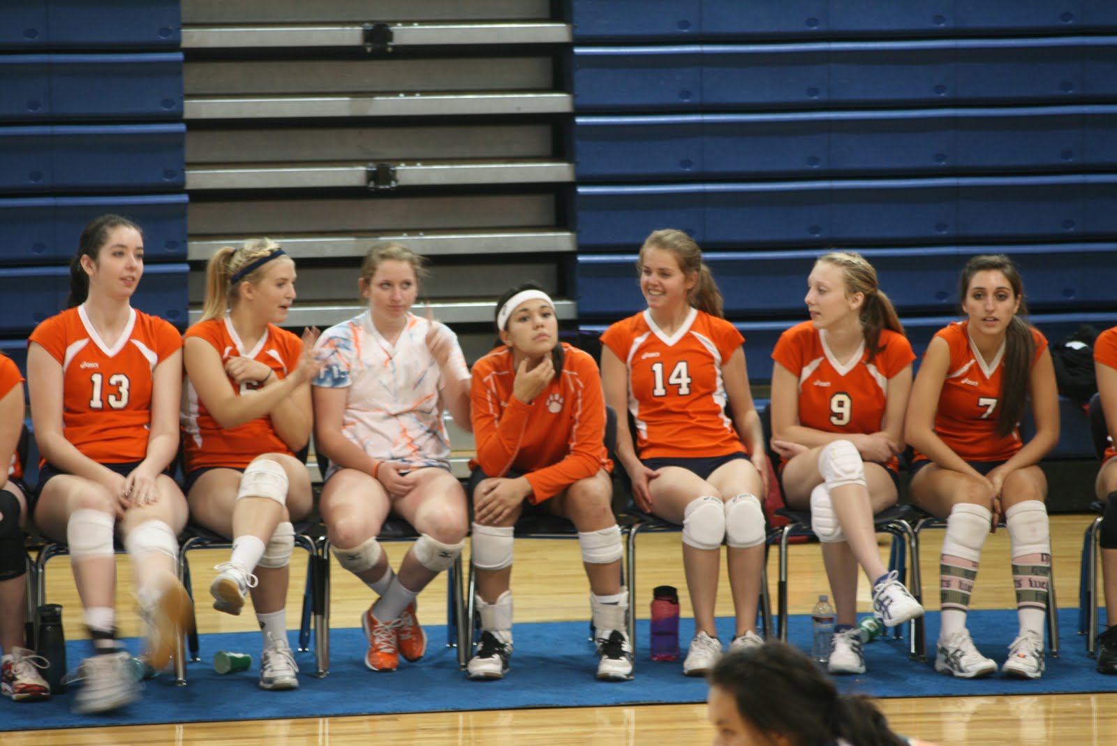 Double Trouble Bengal Volleyball