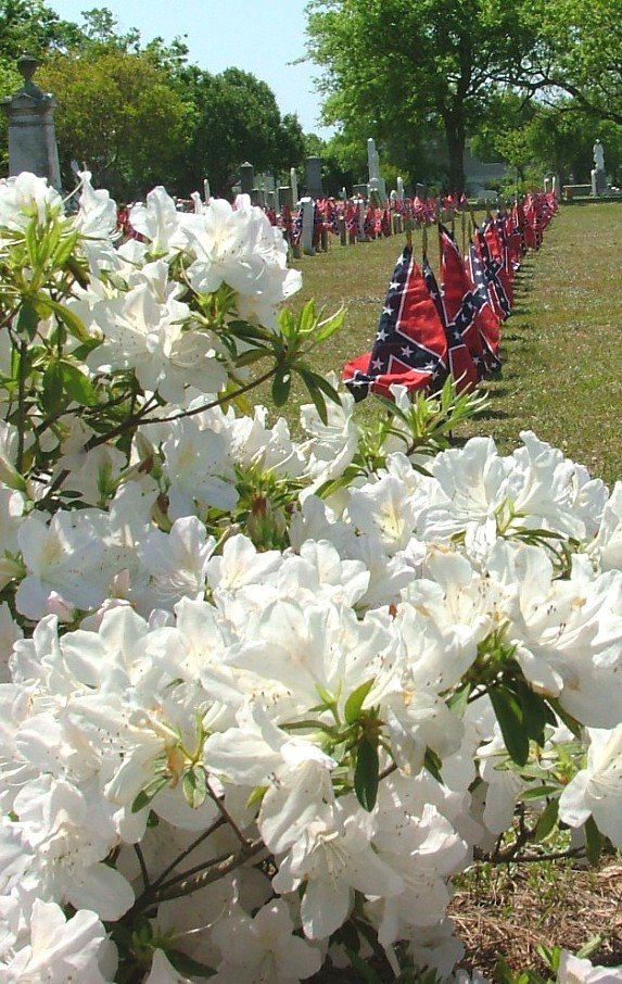 [charleston+080.jpg]