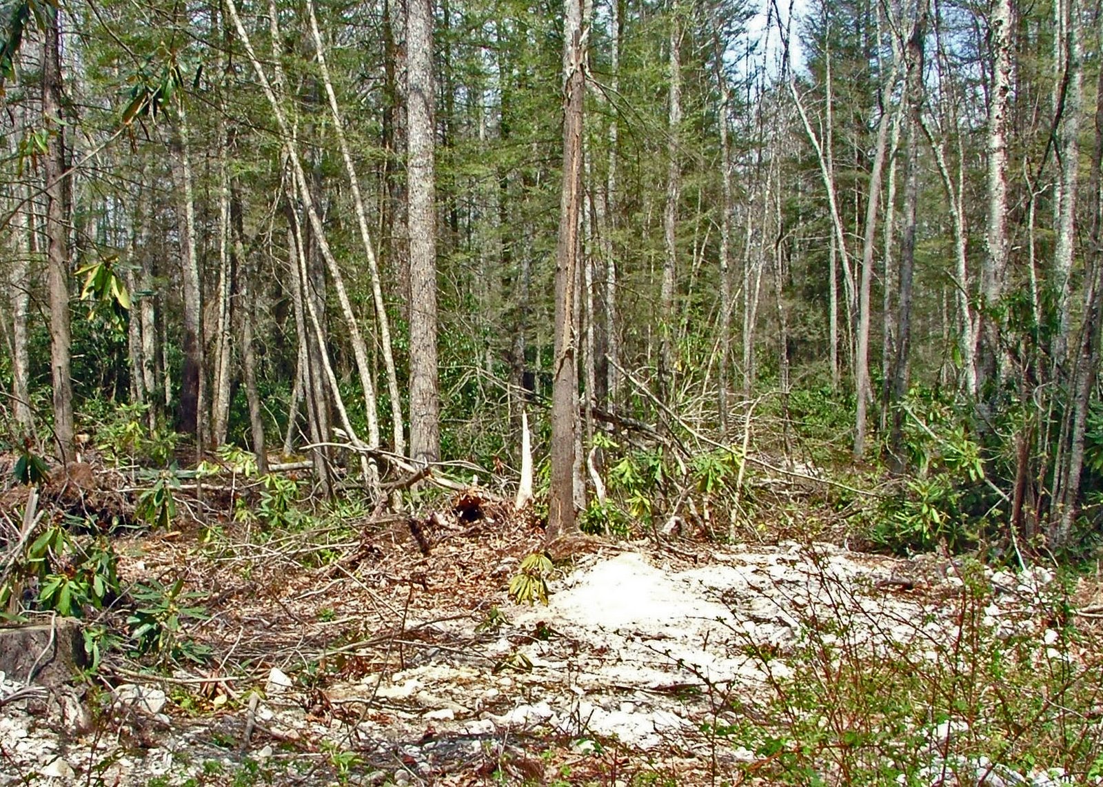 [DSCF3231_edited-1.jpg]