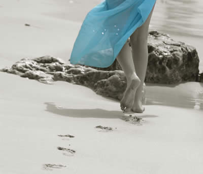 caminante no hay camino song lyrics caminante no hay camino song lyrics