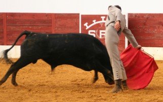 [escuela+taurina+de+murcia.jpg]