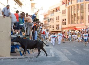 [encierros+cehegin.jpg]