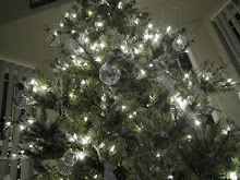 Summer's X-Mas light Picture