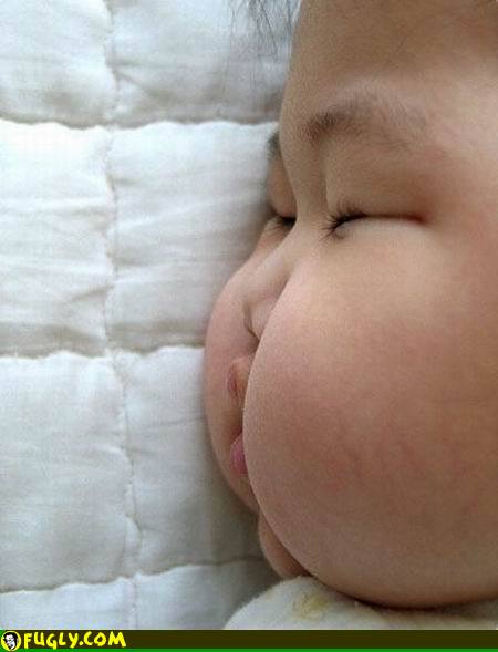 Gambar Saya Banyak Tidur Dan Gemuk Gambar Saya Banyak Tidur Dan Gemuk