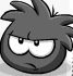 Black Puffle