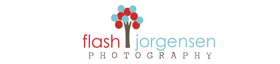 flash jorgensen Wedding Pricing 2010