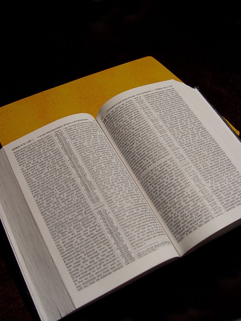 [bible.jpg]