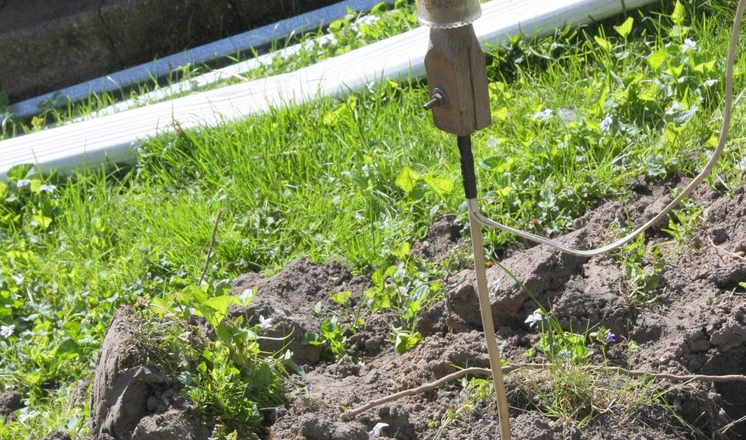 this farm girl.. Worm Shocker!