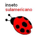 inseto sulamericano