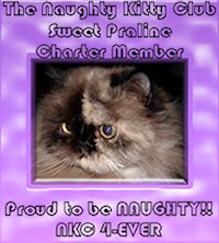 Sweet Praline