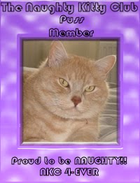 Puss