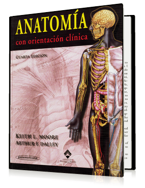 Atlas De Anatomia Humana De Netter 2Da Edicion Pdf
