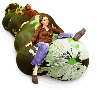 [pepinos_com_virus.bmp]