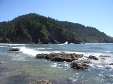 Heceta Beach