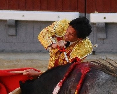Catalunya se pregunta si el dolor d los toros es ético[PROU] A-toro-4