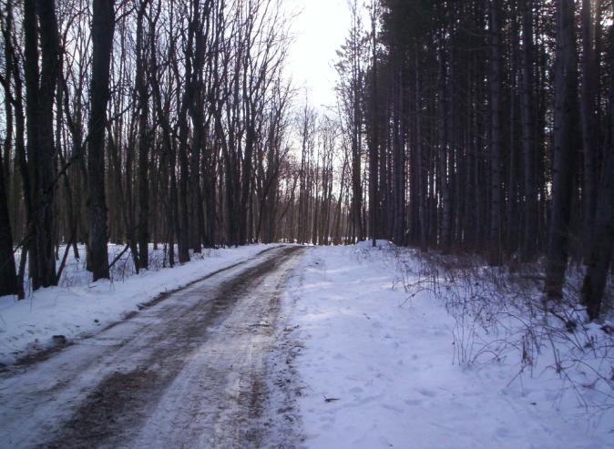 [the_long_bumpy_path.JPG]