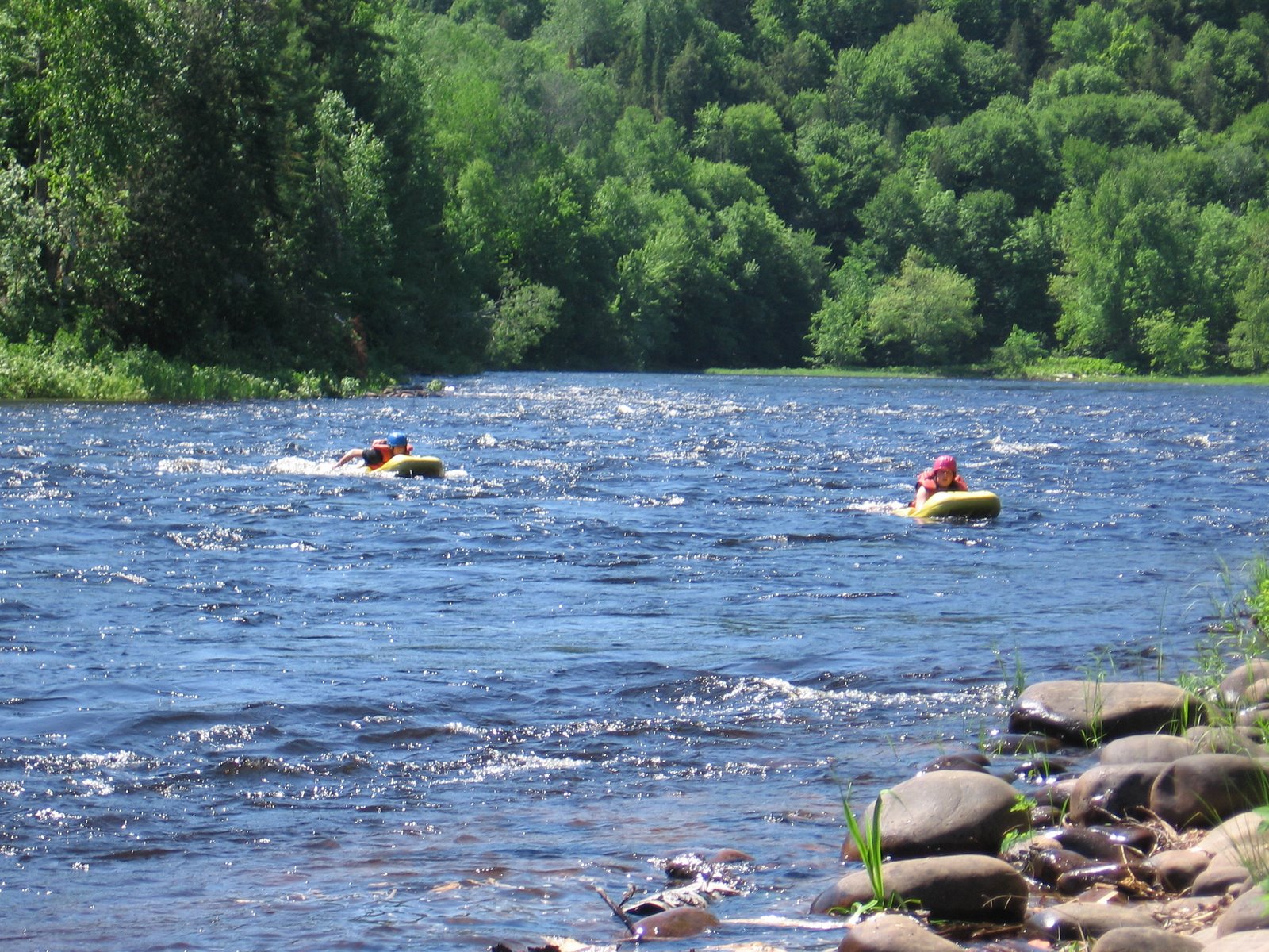 [pleinchose+087.jpg]