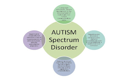 Autism Diagram