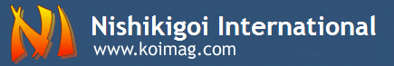 Tategoi.com