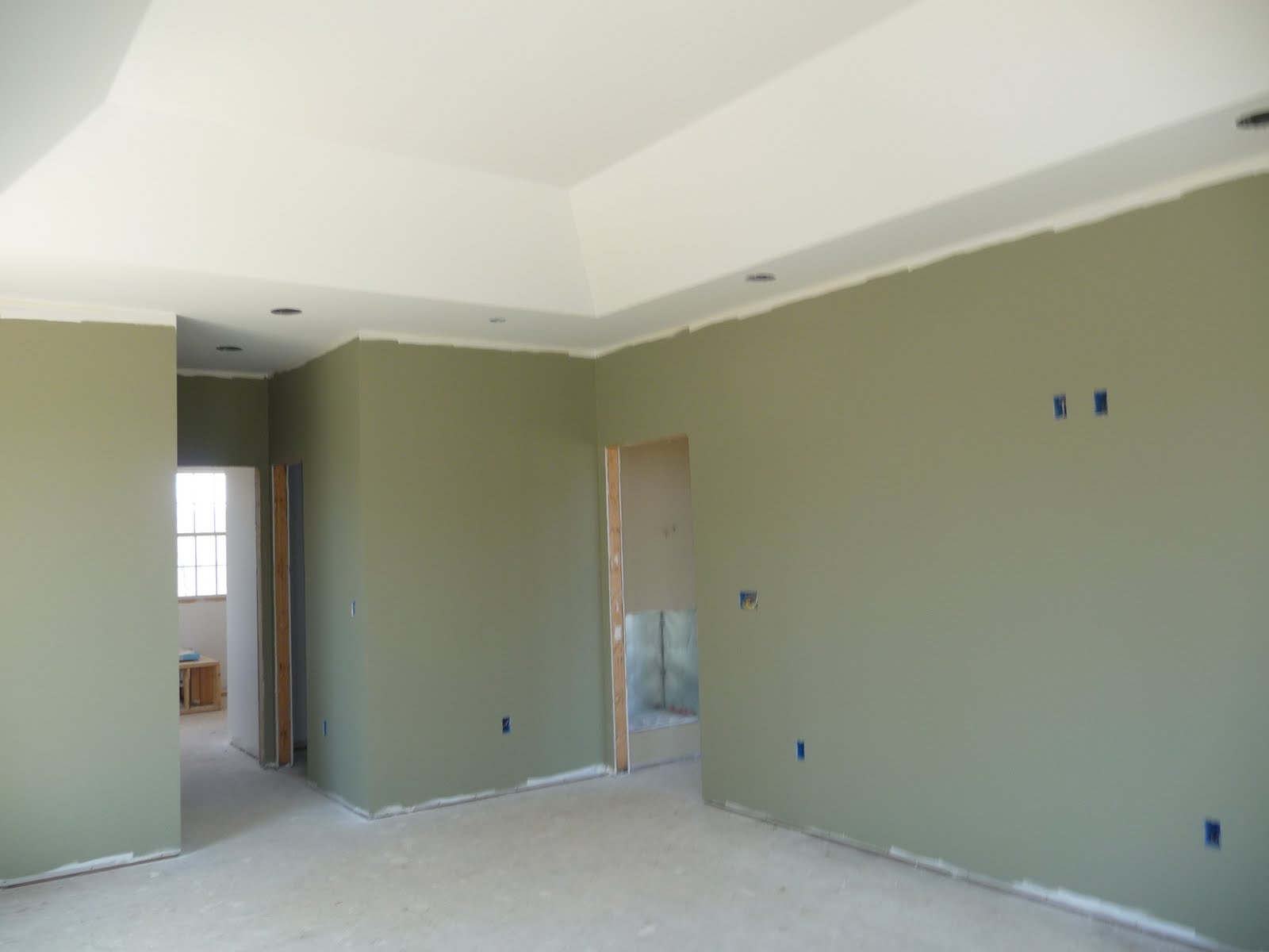 Dry Sage Paint