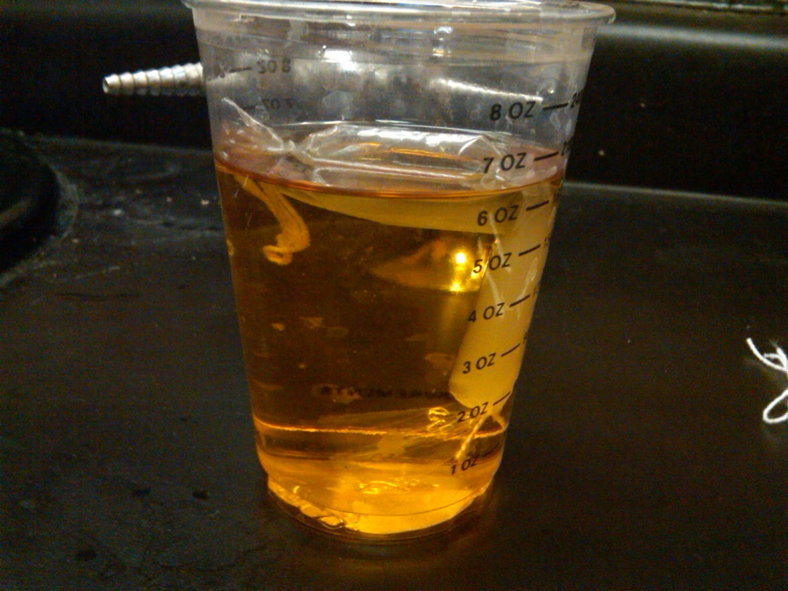biology diffusion and osmosis lab iki solution