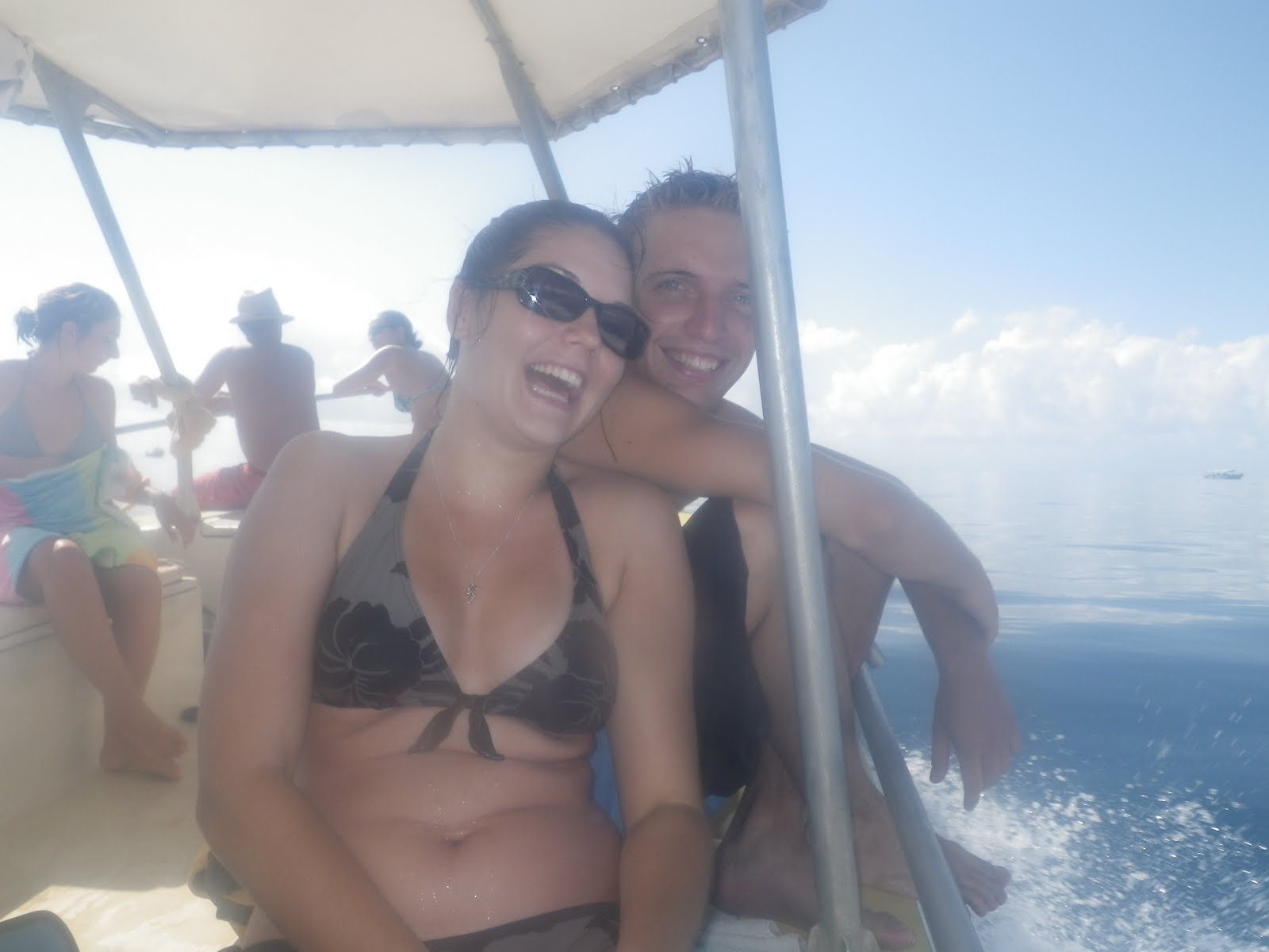 géants de la mer rencontre avec les dauphins et les baleines