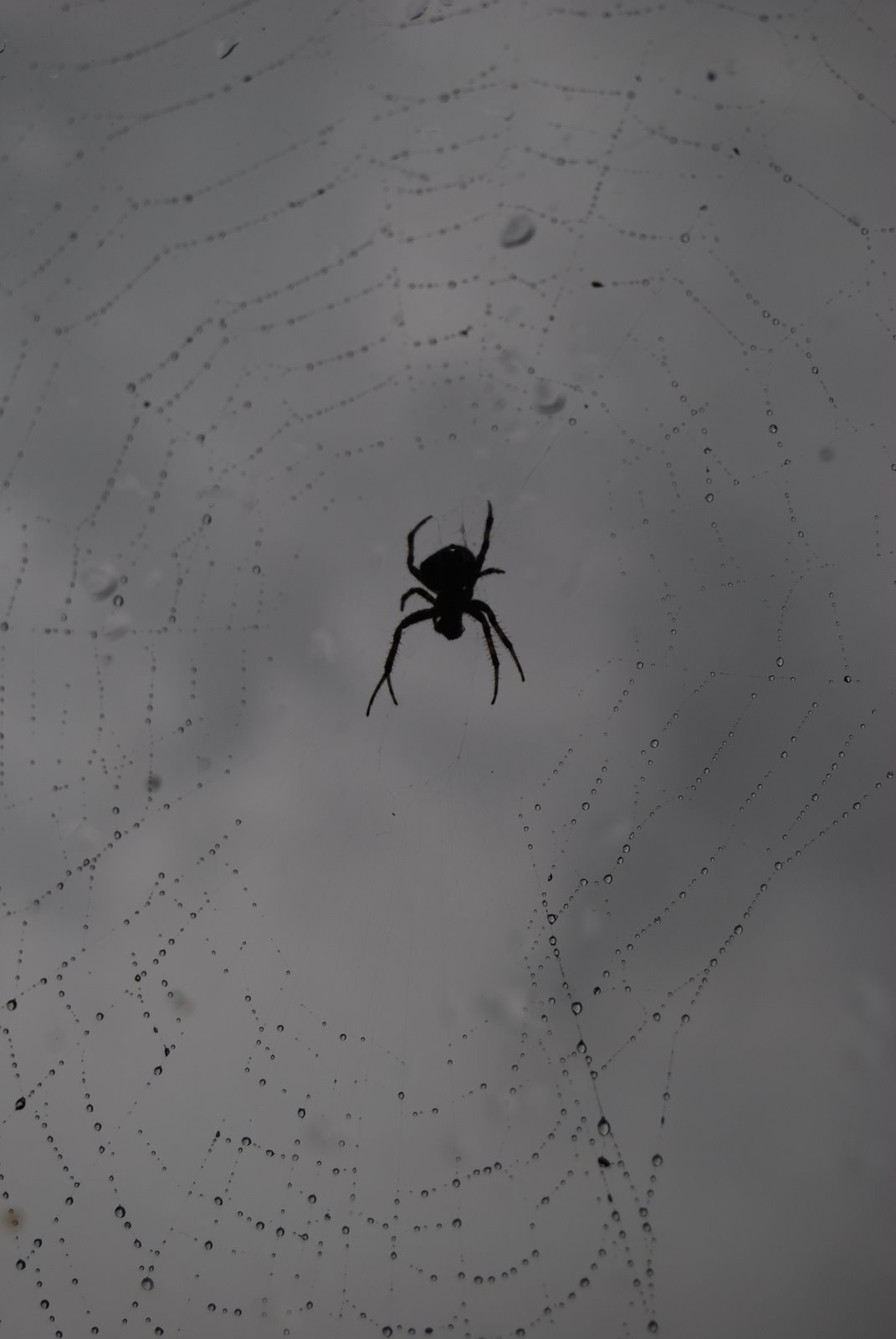 [DSC_0005.JPG]