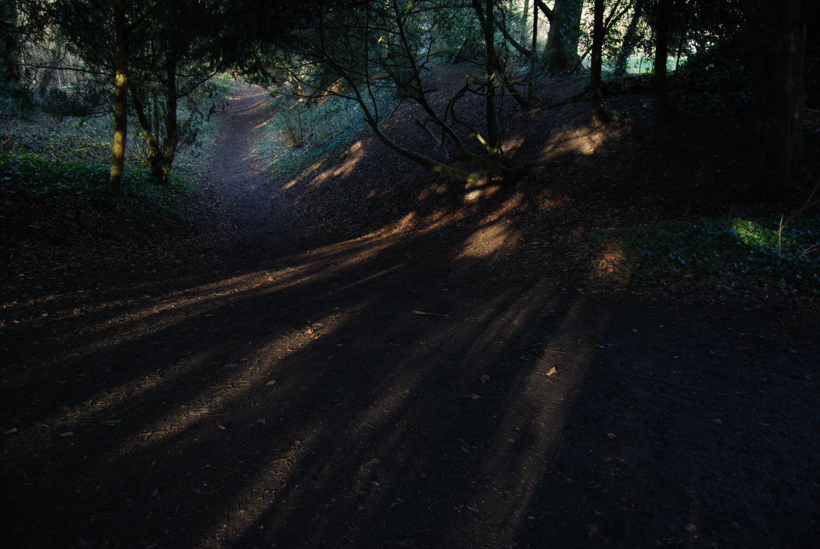 [DSC_0036.JPG]