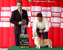 Mattos Akine Morais of Melbas Kennel