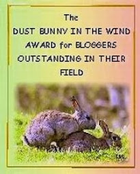 NITEBYRD'S PERSONAL " DUST BUNNY IN THE WIND" AWARD FOR BLOGGERS OUTSTANDING IN THEIR FIELD