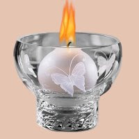 Butterfly Flame