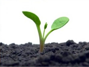 Self development