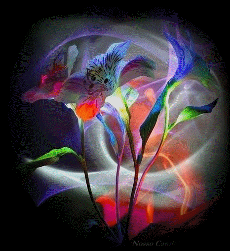 [Animation1flor4.gif]