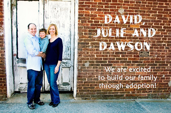 David & Julie Adopt