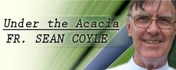 [Acacia.bmp]