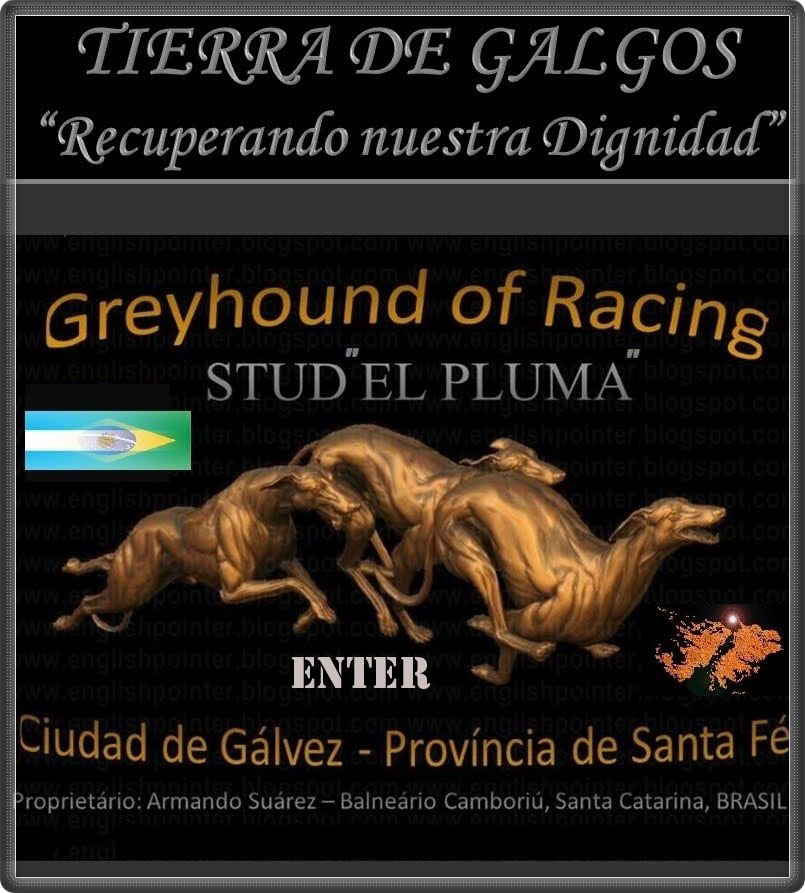 GREYHOUND RACING - GALGOS  DE  COMPETICIÓN