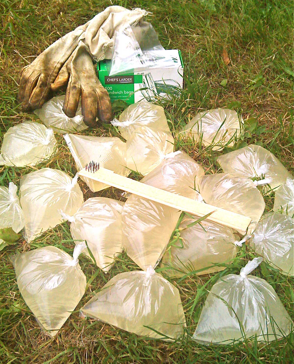 DIY Honeybee Feeder Bags & June Gap