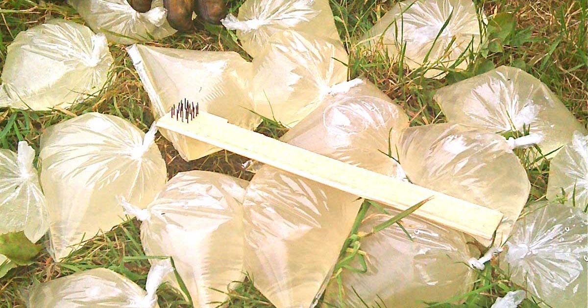 Beekeeping with The Hive Honey Shop DIY Honeybee Feeder Bags & June Gap