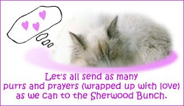 Sending purrs and luv to all the Sherwoods