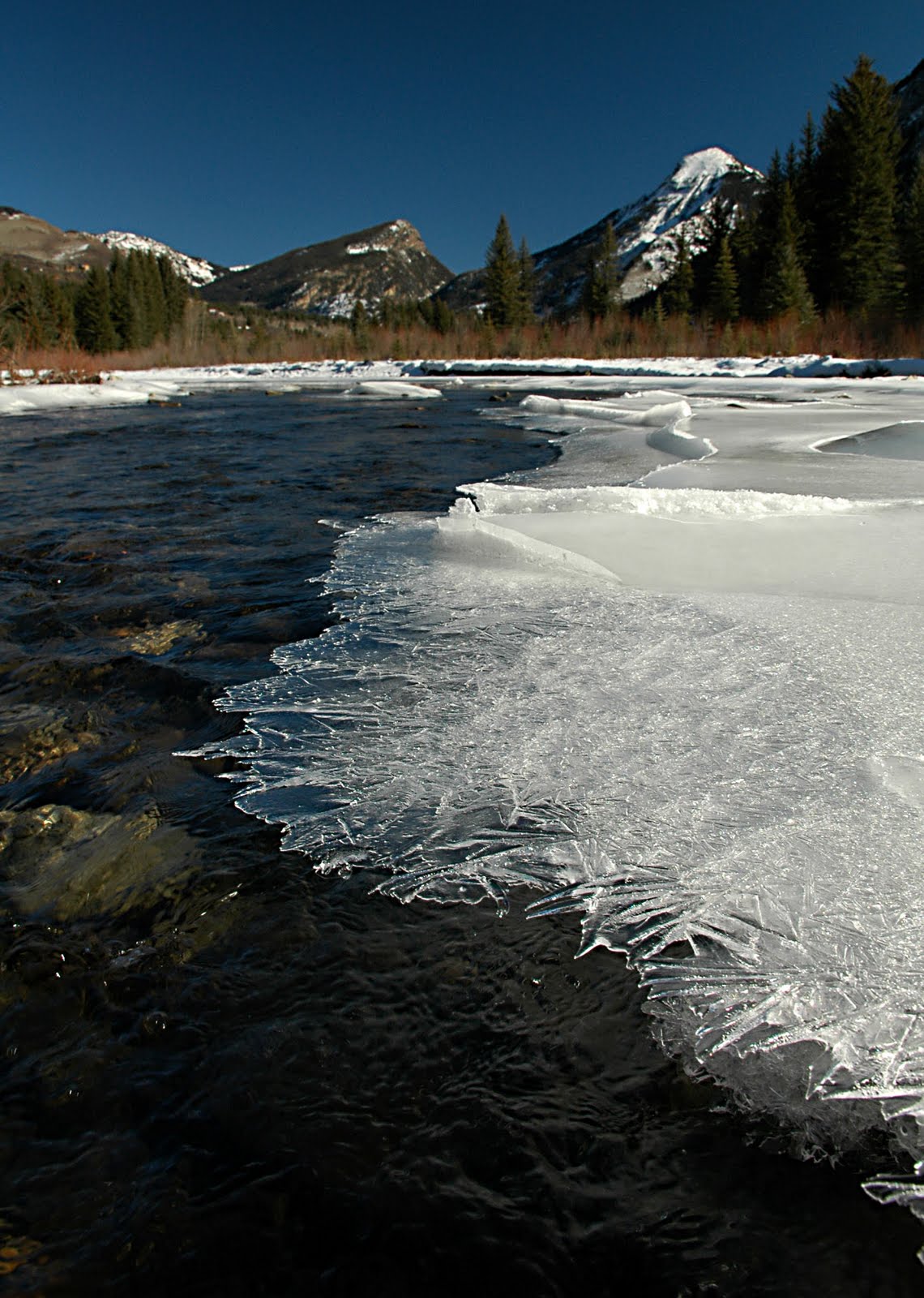 Colorado Wilderness Hiking and Camping in the Backcountry Colorado's