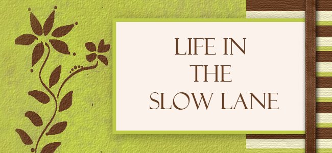 Life in the Slow Lane
