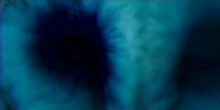 [vlcsnap-5107714.jpg]