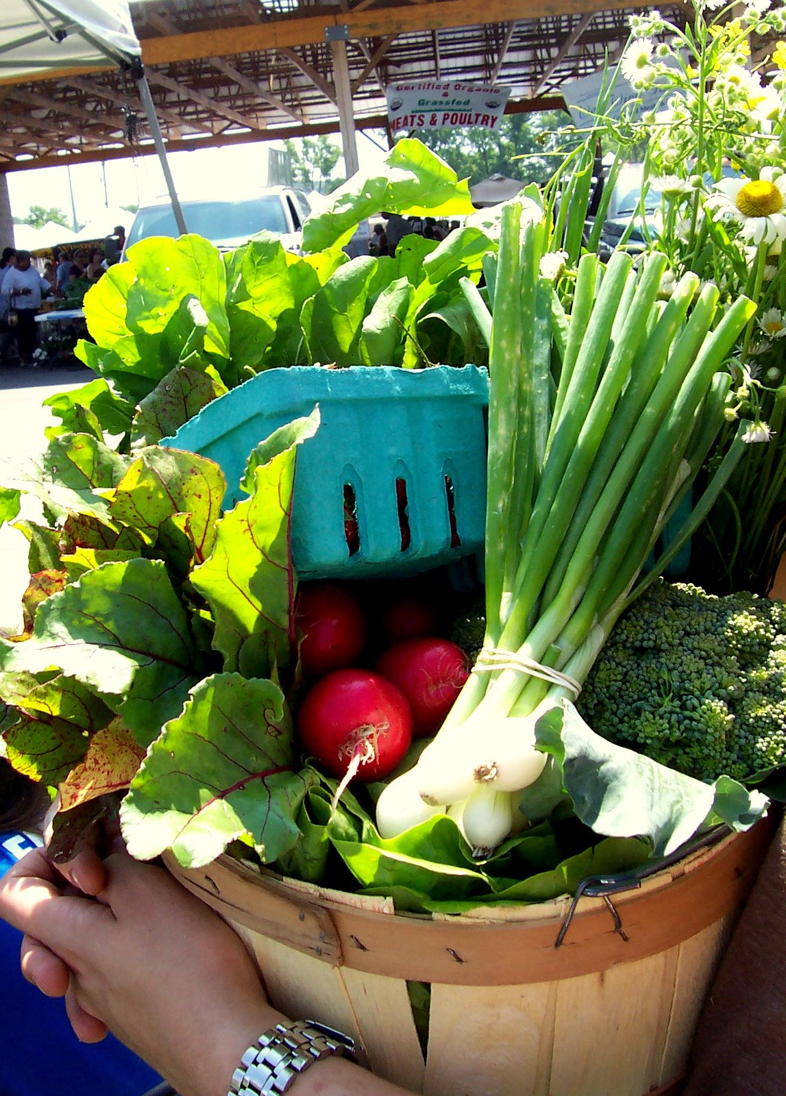 [basket_may30]