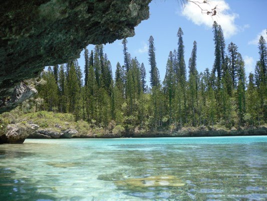 Piscine naturelle d'Oro - Ile des Pins